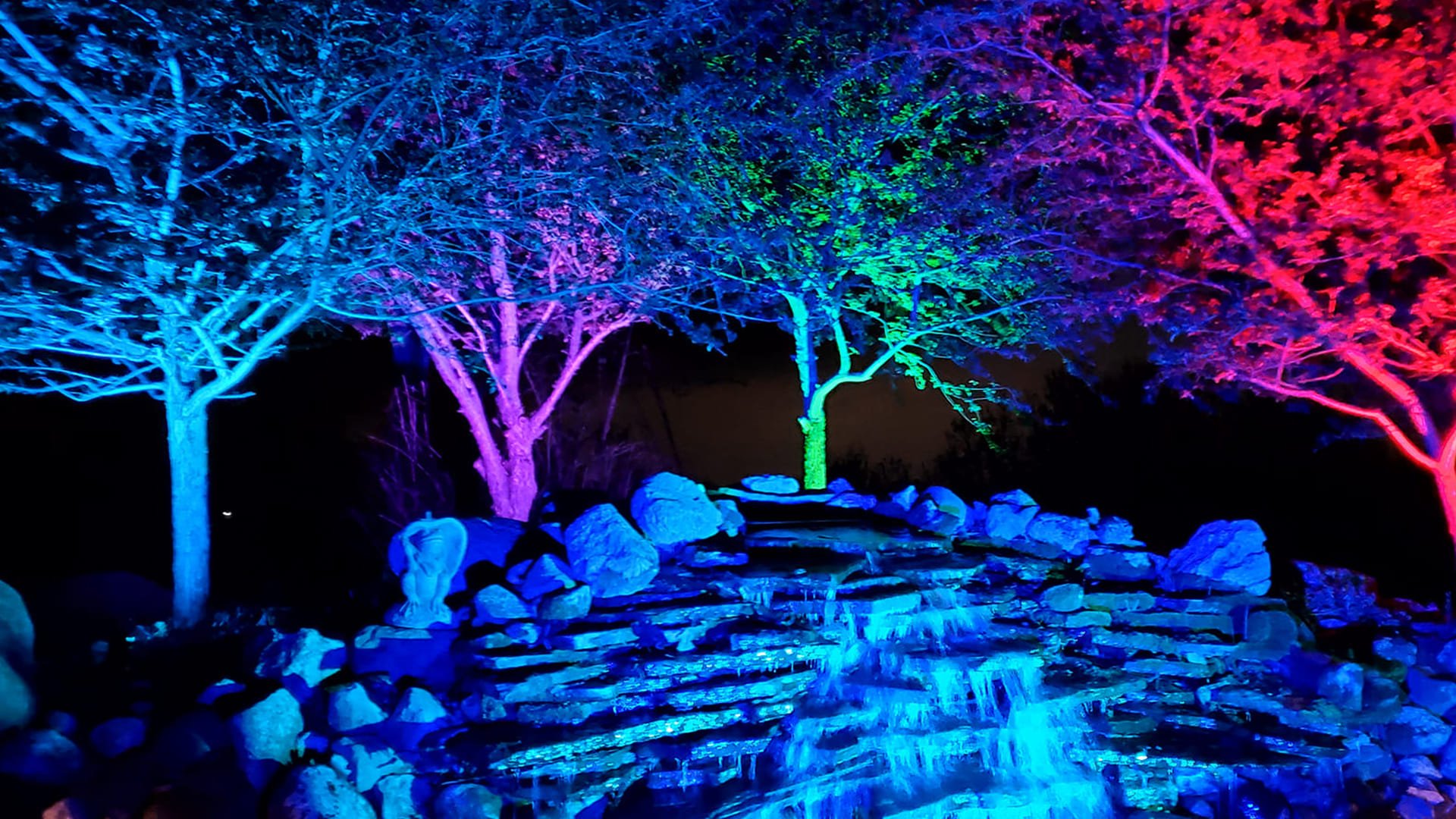 Color landscape lighting illuminating trees and rock features