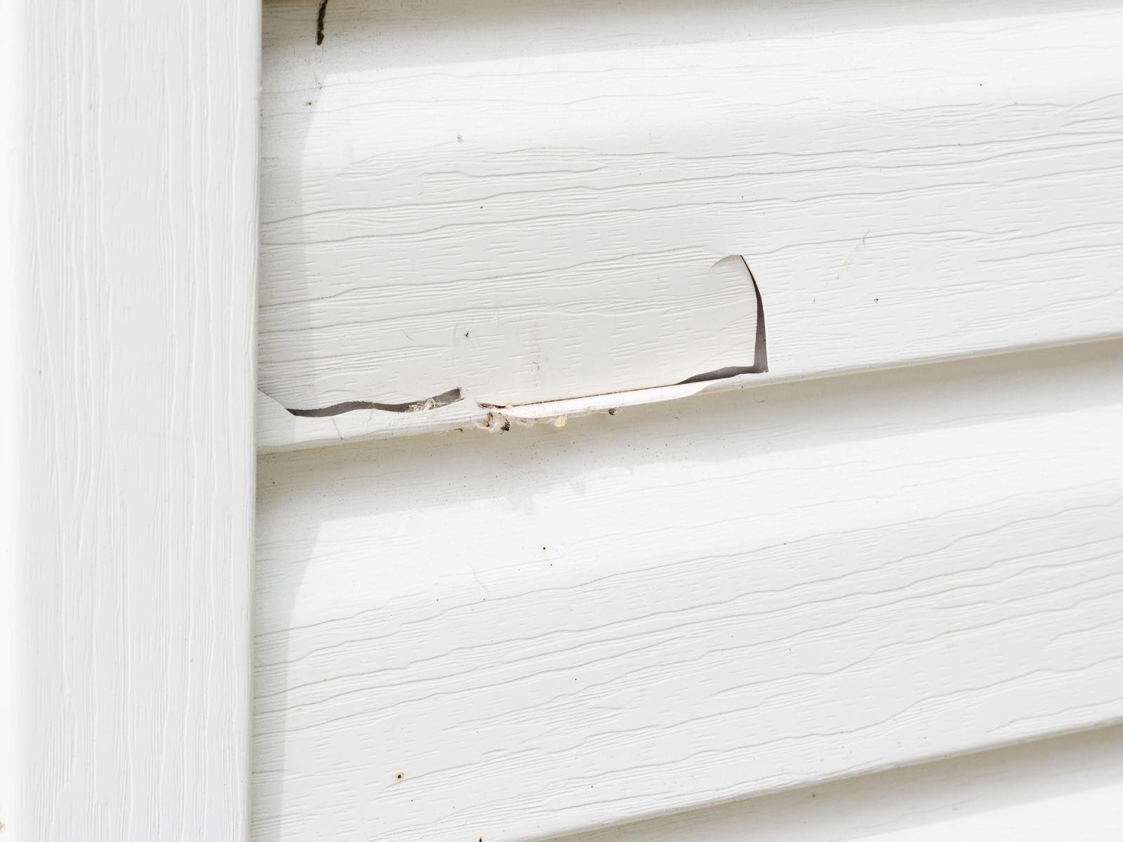 Residential siding being evaluated for repair or replacement